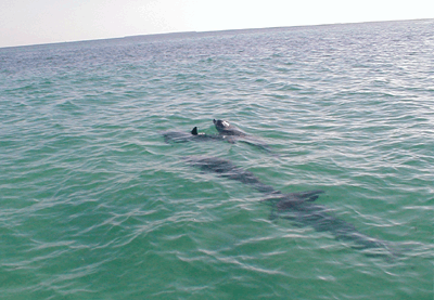 key west