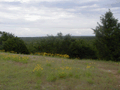 scenic ok
