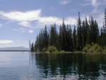 jenny lake