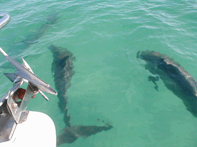 key west